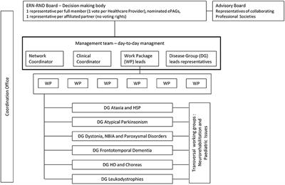 The European Reference Network for Rare Neurological Diseases